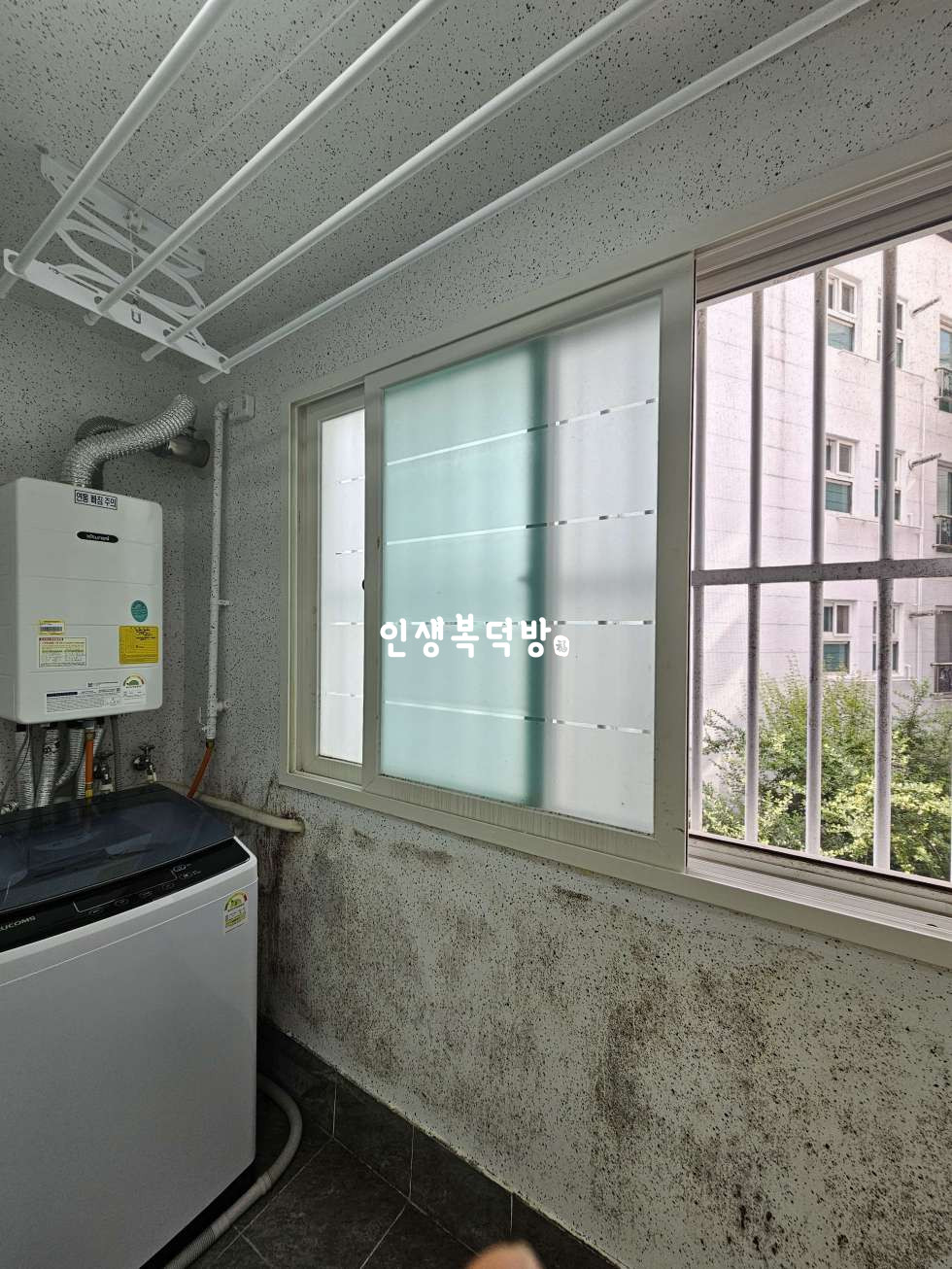 경북 구미시 봉곡동 417-13 구미봉곡동미투 옵션이 다했다 베스트 매물 월세 매물번호 12160 사진 11